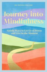 Journey into Mindfulness (ISBN: 9781841816937)