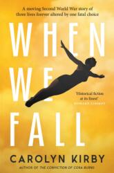 When We Fall (ISBN: 9780857303950)