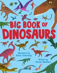Big Book of Dinosaurs (ISBN: 9781912757909)