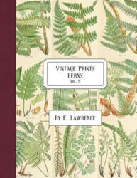 Vintage Prints: Ferns: Vol. 5 - E. Lawrence (ISBN: 9781987676310)