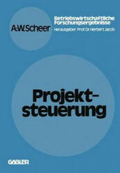 Projektsteuerung - August-Wilhelm Scheer (ISBN: 9783409305426)