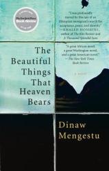 The Beautiful Things That Heaven Bears - Dinaw Mengestu (ISBN: 9781594482854)