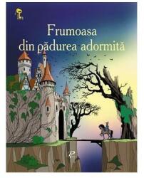 Frumoasa din pădurea adormită. Cheița de aur (ISBN: 9789975699594)