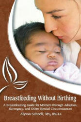 Breastfeeding Without Birthing: A Breastfeeding Guide for Mothers through Adoption, Surrogacy, and Other Special Circumstances (ISBN: 9781939807007)