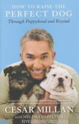 How to Raise the Perfect Dog - Cesar Millan (ISBN: 9780307461308)