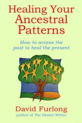 Healing Your Ancestral Patterns - David Furlong (2014)