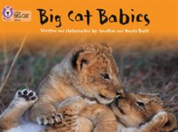 Big Cat Babies (2005)