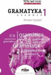 Testuj Swoj Polski: Gramatyka 1: Test Your Polish: Grammar 1 (ISBN: 9788360229866)