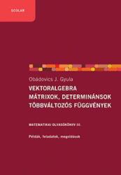 Vektoralgebra: mátrixok, determinánsok többváltozós függvények (2015)