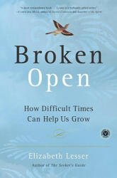 Broken Open - Elizabeth Lesser (ISBN: 9780375759918)