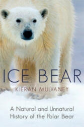 Ice Bear - Kieran Mulvaney (2012)