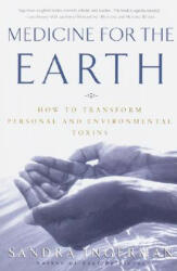 Medicine for the Earth - Sandra Ingerman (ISBN: 9780609805176)