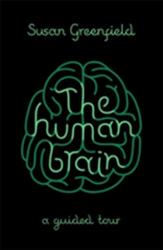 The Human Brain (2015)