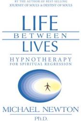 Life Between Lives (ISBN: 9780738704654)