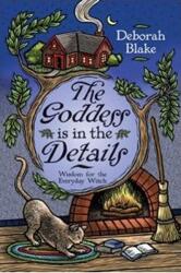 The Goddess is in the Details (ISBN: 9780738714868)