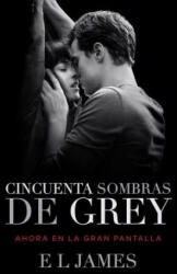 Cincuenta sombras de Grey / Fifty Shades of Grey - E. L. James (2015)