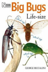 Big Bugs Life-Size - George Beccaloni (2010)