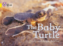 The Baby Turtle (2007)