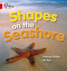 Shapes on the Seashore (2005)
