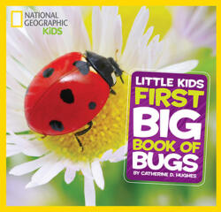Little Kids First Big Book of Bugs - Catherine D Hughes (2014)