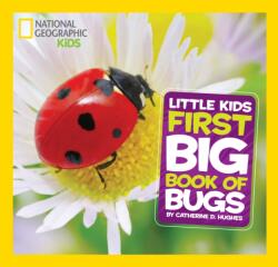 Little Kids First Big Book of Bugs (2014)