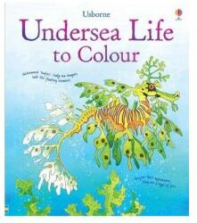 Undersea Life to Colour (2013)