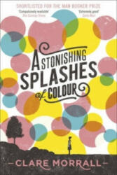 Astonishing Splashes of Colour - Clare Morrall (2013)