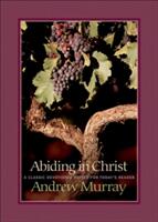 Abiding in Christ (ISBN: 9780764227622)
