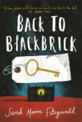 Back to Blackbrick - Sarah Moore Fitzgerald (2014)