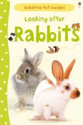 Looking after Rabbits (2013)