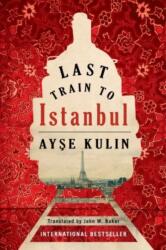 Last Train to Istanbul (2013)