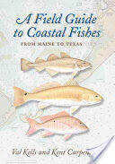 A Field Guide to Coastal Fishes: From Maine to Texas (ISBN: 9780801898389)