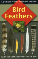 Bird Feathers - S. David Scott, Casey McFarland (ISBN: 9780811736183)