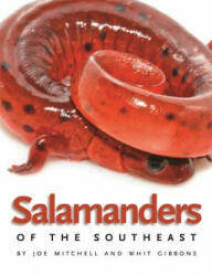 Salamanders of the Southeast - Joe Mitchell (ISBN: 9780820330358)