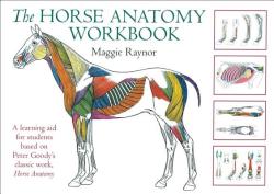 Horse Anatomy Workbook - Maggie Raynor (ISBN: 9780851319056)