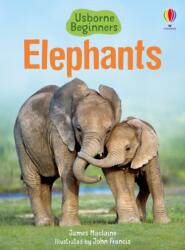 Elephants (2011)