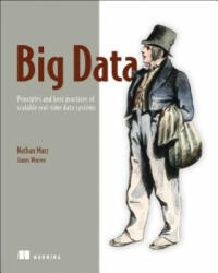Big Data: Principles and best practices of scalable realtime data systems - Nathan Marz (2015)