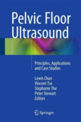 Pelvic Floor Ultrasound: Principles Applications and Case Studies (2015)