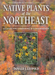 Native Plants Of The Northeast - Donald Joseph Leopold (ISBN: 9780881926736)