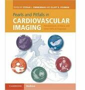 Pearls and Pitfalls in Cardiovascular Imaging: Pseudolesions, Artifacts, and Other Difficult Diagnoses - Stefan L. Zimmerman, Elliot K. Fishman (2015)