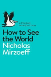 How to See the World - Nicholas Mirzoeff (2015)