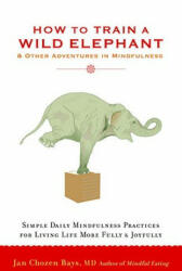 How to Train a Wild Elephant - Jan Chozen Bays (2011)