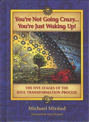 You're Not Going Crazy. . . You're Just Waking Up! : The Five Stages of the Soul Transformation Process (ISBN: 9780974021621)