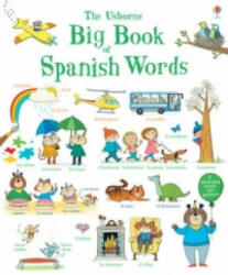 Big Book of Spanish Words - Mairi Mackinnon (2015)