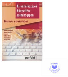 KISVÁLLALKOZÁSOK KÖNYVELÉSE SZÁMÍTÓGÉPEN - KÖNYVELÉS A GYAKORLATBAN (ISBN: 9789633948316)