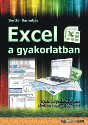 Excel a gyakorlatban (2015)