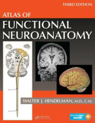 Atlas of Functional Neuroanatomy - Hendelman M D, Walter (2015)