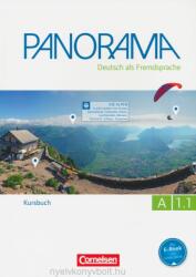 Panorama in Teilbanden - Andrea Finster, Friederike Jin, Verena Paar-Grünbichler, Britta Winzer-Kiontke (ISBN: 9783061204723)