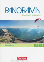 Panorama in Teilbanden - Andrea Finster, Friederike Jin, Verena Paar-Grünbichler, Britta Winzer-Kiontke (ISBN: 9783061205614)