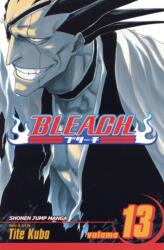 Bleach, Vol. 13 (ISBN: 9781421506111)